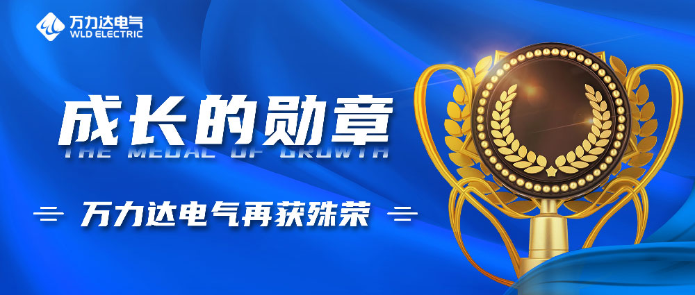 成长的勋章！永兴官网电气再获殊荣